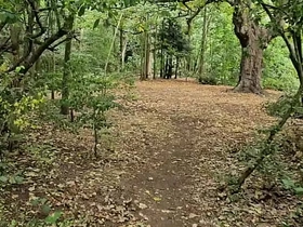 Clapham Common cruising trails - June 2025 public gay sex videos asian
