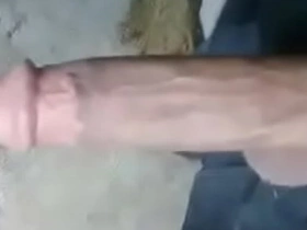 Asian big cock!! asian gay sex videos in x